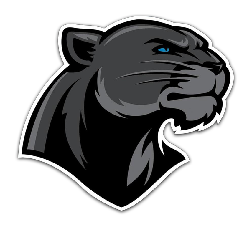 Thonon Black Panthers